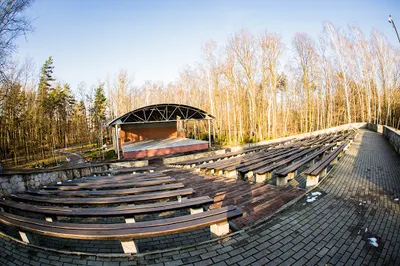 Niepubliczna Ogólnokształcąca Szkoła Muzyczna I st. "Elementarz" w Katowicach